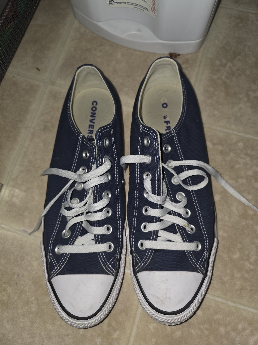 Converse Navy Blue Low-Top Canvas Sneakers